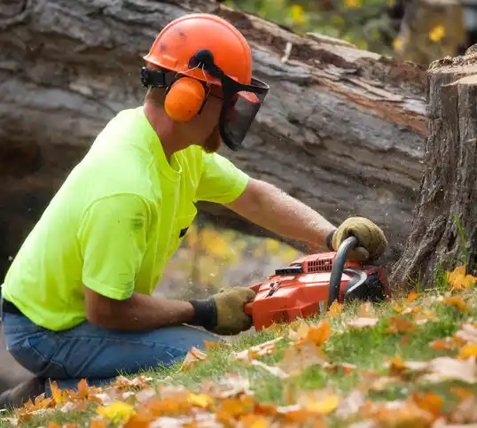 tree services Waxhaw